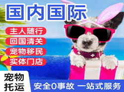 武宿航空运输国际宠物托运 【国